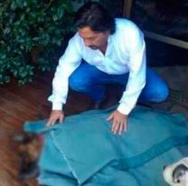�Te vamos a extra&ntilde;ar mucho Tanguito , el conmovedor mensaje de S&aacute;enz a su perro