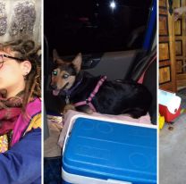 Una historia con final feliz: luego de ser separada en Salta de su perrita por la cuarentena, Abril se reunió con ella en Buenos Aires