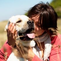 ¿Por qué se celebra el día del animal en Argentina?