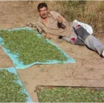 &#8220;Coca del monte&#8221;, el invento salteño que hace furor en el norte