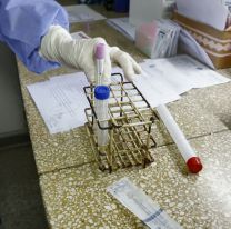 Salta continúa sin nuevos casos de coronavirus