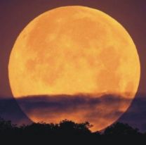 Mañana se podrá observar la última superluna de 2020: cómo y cuándo verla