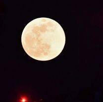Luna llena de flor: cómo y cuándo ver la última superluna del 2020