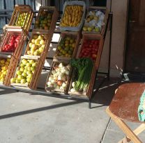 Salte&ntilde;a cobr&oacute; el bono de 10 mil pesos y se puso una verduler&iacute;a: tiene los mejores precios