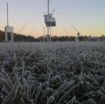 Cayó la primera helada de la temporada en Salta