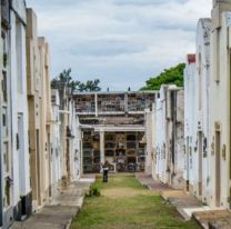 FOTOS | El “perro de la muerte” apareci&oacute; en el cementerio de Salta y lo fotografiaron