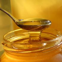 Destacan el enorme potencial de Salta para la producción de miel