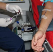 A partir de los 16 a&ntilde;os de edad ya se pueden donar sangre