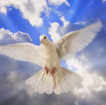 Segundo Día de la Novena por la Unción del Espíritu Santo