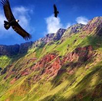 FOTOS | 9 lugares de Salta que reafirman porqué le dicen &#8220;La Linda&#8221;