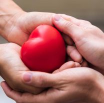 Hoy es el Día Nacional de la Donación de Órganos y Tejidos