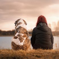 Día del Perro: por qué hoy, 2 de junio, se homenajea hoy al &#8220;mejor amigo del hombre&#8221; en la Argentina