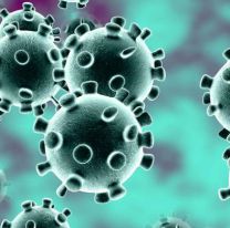 En Salta no hay transmisión comunitaria de coronavirus