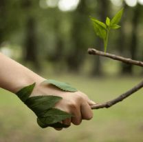 Del 5 al 12 de junio se celebrará la Semana del Ambiente