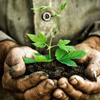 Hoy celebramos el D&iacute;a Mundial del Medio Ambiente