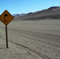 Alerta meteorológico: vientos intensos en la zona cordillerana de Salta