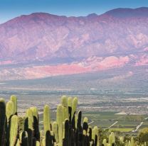 IMPERDIBLE | Se viene “Net.Salta”, el evento virtual gratuito para el sector turístico