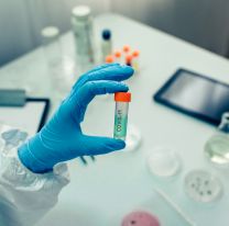 <p>Scientist hand showing vial with vaccine in the laboratory. Selective focus on vial in foreground</p>
