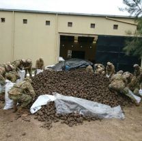 Donaron 30.000 kg de papas para los comedores de Salta