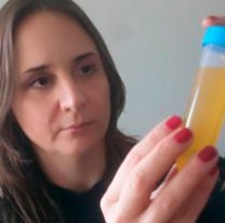 Cient&iacute;ficas argentinas lograron un importante avance en la lucha contra el dengue