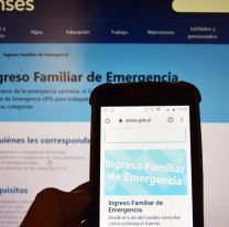 Quiénes cobran esta semana el “Ingreso familiar de emergencia”
