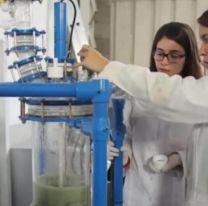 Cient&iacute;ficas argentinas desarrollan un gel para cortar la circulaci&oacute;n del Covid-19