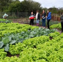 Se viene la primera huerta comunitaria