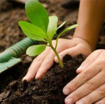 Salte&ntilde;os plantar&aacute;n &aacute;rboles para generar conciencia sobre el cuidado del medioambiente