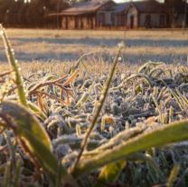 Amanacer helado en Salta: el termómetro marcó los -2º