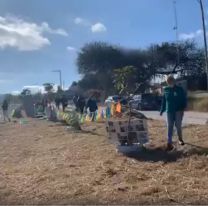 VIDEO | Salteños plantaron árboles para generar conciencia sobre el cuidado del medioambiente