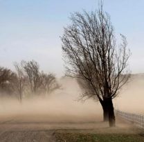 Contin&uacute;a el alerta por vientos intensos en Salta