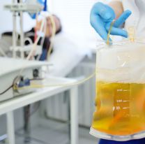 Declaran de interés provincial la donación de plasma en Salta