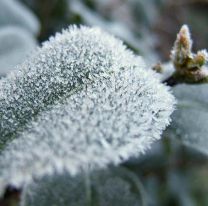 A salir bien abrigados y con barbijos: viernes soleado en Salta, pero muy fr&iacute;o