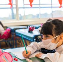 Alumnos de 5º año tendrían un regreso reducido a clases presenciales a fines de agosto