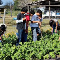 Instalaron 22 huertas en comedores y hogares de niños en Salta