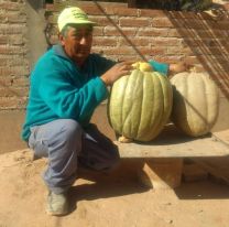 Un agricultor salte&ntilde;o cosecho un zapallo de 25 Kg