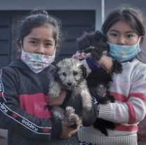 Festej&aacute; el �D&iacute;a del Mejor Amigo  con tu perro