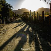 Cafayate, uno de los destinos preferidos por todos los salteños