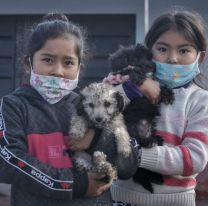 Día del Mejor Amigo  con vacunación gratuita para perros y gatos
