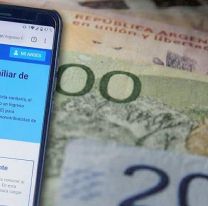 Nuevo IFE: c&oacute;mo acceder al subsidio