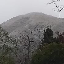 VIDEO | La nieve finalmente llegó a Salta: el lugar donde cayeron hermosos copos