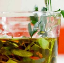 D A DE LA PACHAMAMA | Beber ca&ntilde;a con ruda, un ritual que perdura en el tiempo