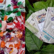 Dar vuelto en semillas: la alternativa sustentable que ya es tendencia en Salta