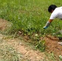 Salteño cobró el IFE y decidió devolverlo con trabajo: se fue a limpiar las vías del tren