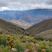 Más de 20 montañistas trabajan en la búsqueda de Analía Ibáñez