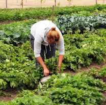 <p>????????????????????????????????????</p>
