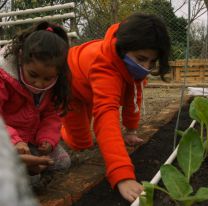 La huerta comunitaria de barrio Constitución crece con el compromiso de los vecinos