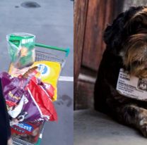 Un �perrom&oacute;vil  solidario repartir&aacute; alimento balanceado