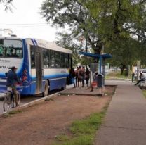 As&iacute; funcionar&aacute; SAETA hasta el martes 15 de septiembre