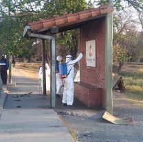 Continúan los trabajos de sanitización de paradores de colectivos